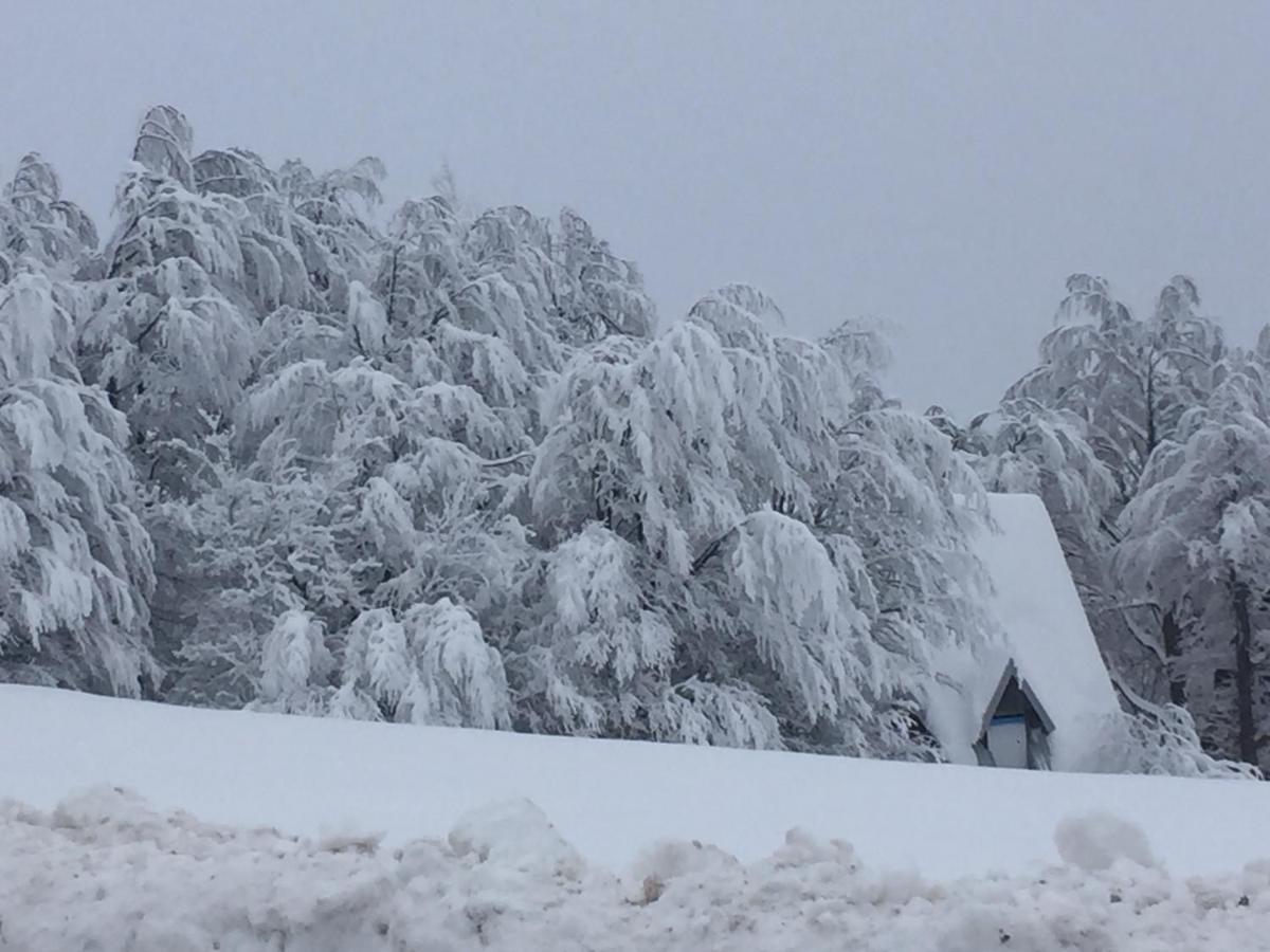 Golija Vikendica Cesta Vrela Vila Raška Exterior foto