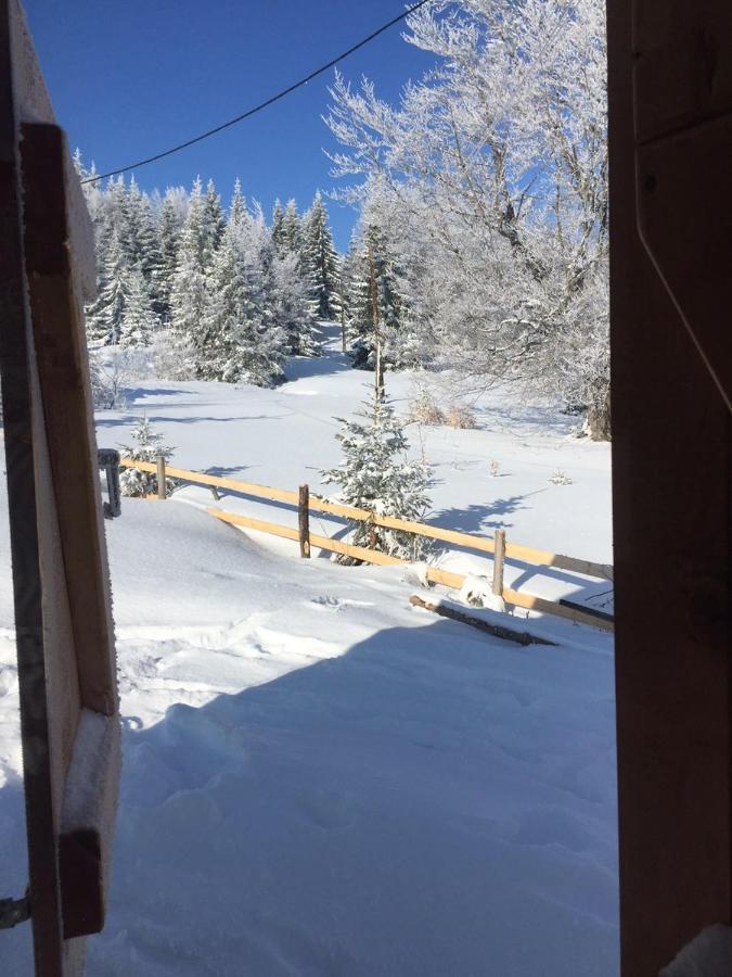 Golija Vikendica Cesta Vrela Vila Raška Exterior foto