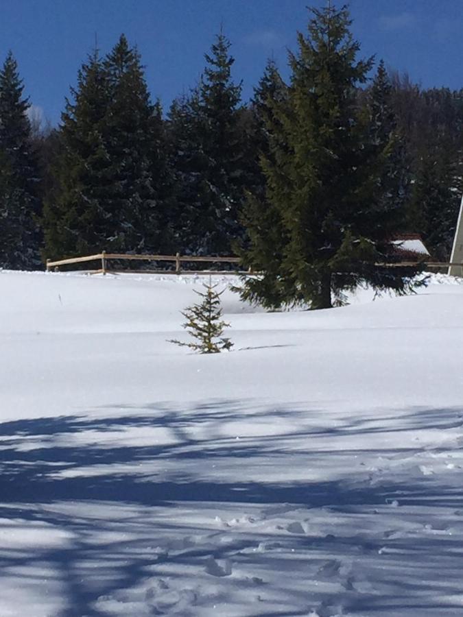 Golija Vikendica Cesta Vrela Vila Raška Exterior foto