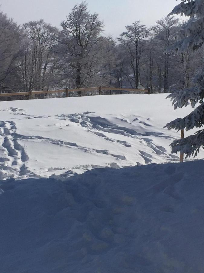 Golija Vikendica Cesta Vrela Vila Raška Exterior foto